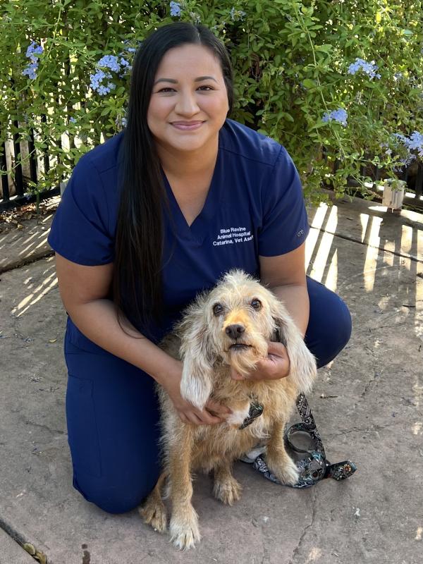 Catarina , Veterinary Assistant Catarina , Veterinary Assistant
