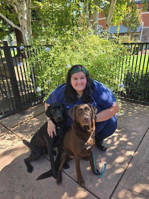 Bobbie , CSR Bobbie , CSR