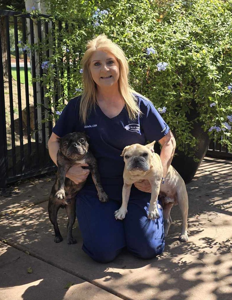 Michelle , CSR Michelle , CSR