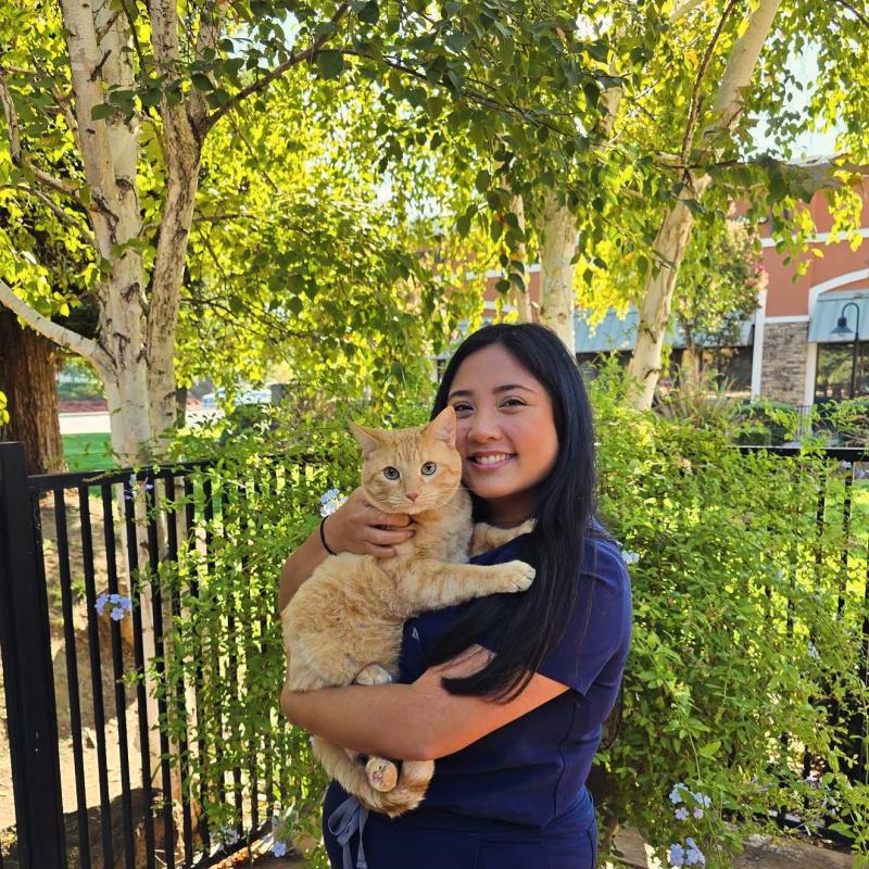 Mylee , CSR Mylee , CSR